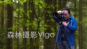 一张图:2024/01/29黄金原油外汇股指